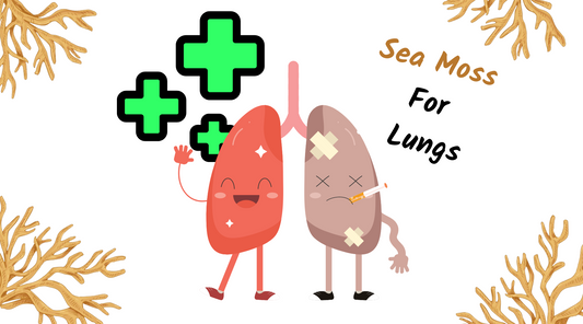 Irish Seamoss: The Respiratory Superfood You Didn't Know You Needed