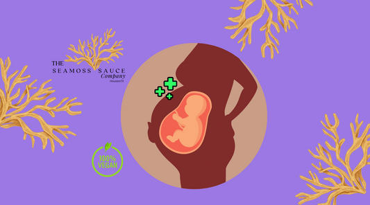 Irish Sea Moss during Pregnancy: Sorting Out the Facts