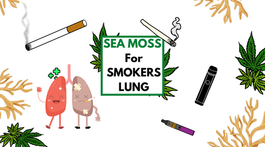 SEA MOSS FOR SMOKERS