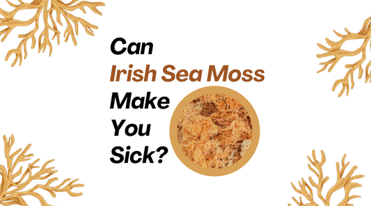 Can Irish Sea Moss Make You Sick?
