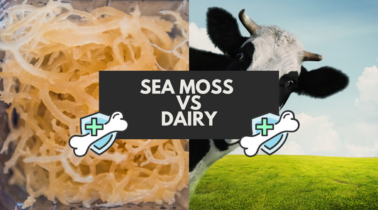 How Irish Sea Moss Can Support Your Bone Health: A Vegan-Friendly Alternative to Dairy Products